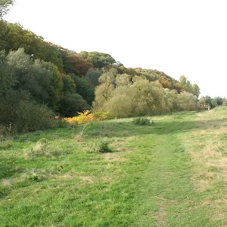 Weyermann Leichlingen