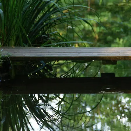 Weyermann Leichlingen