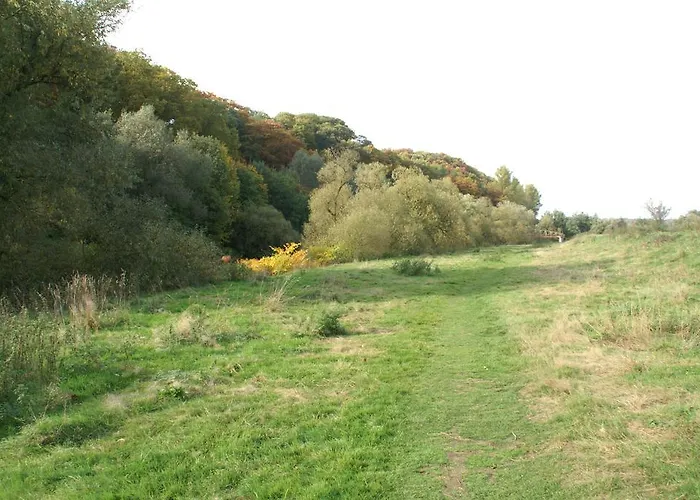 Weyermann Leichlingen